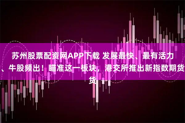 苏州股票配资网APP下载 发展最快、最有活力、牛股频出！瞄准这一板块，港交所推出新指数期货