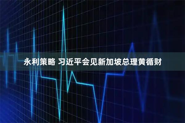 永利策略 习近平会见新加坡总理黄循财