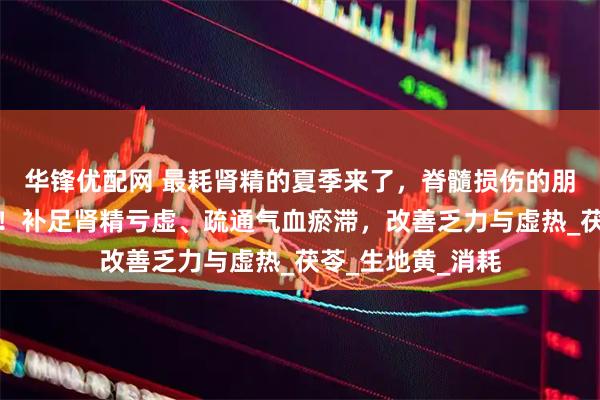 华锋优配网 最耗肾精的夏季来了，脊髓损伤的朋友，试试这碗汤！补足肾精亏虚、疏通气血瘀滞，改善乏力与虚热_茯苓_生地黄_消耗