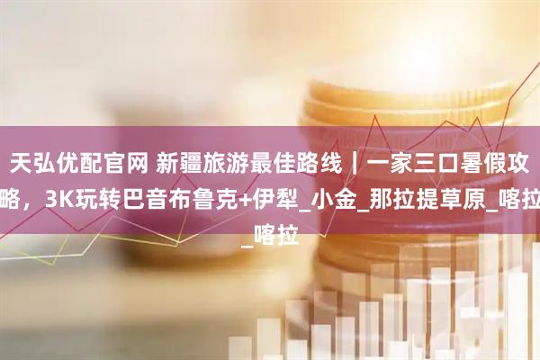 天弘优配官网 新疆旅游最佳路线｜一家三口暑假攻略，3K玩转巴音布鲁克+伊犁_小金_那拉提草原_喀拉